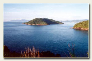 Imagem da Ilha do Tamanduá - Caraguatatuba.