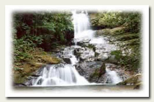 Imagem da Cachoeira Rio das Pedras - Caraguatatuba.