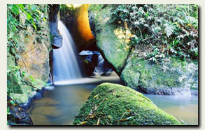 Foto da Cachoeira das Andorinhas