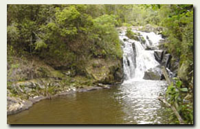 Foto da cachoeira do mato limpo