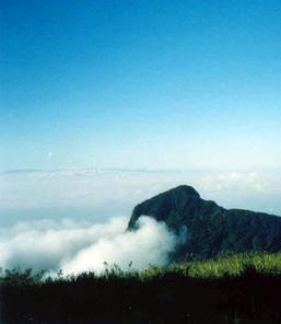 Foto do Gomeral trilha da pedra grande de Guaratinguetá
